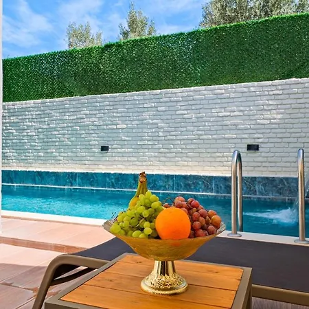 With Pool - فيلة فتحية